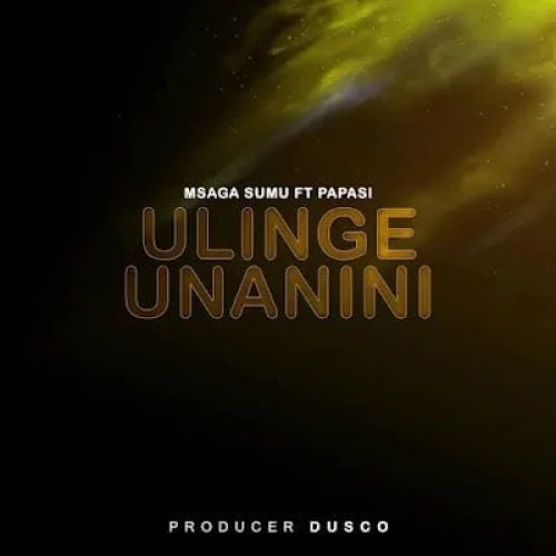 Msaga Sumu - Ulinge Unanini (feat. Papasi)