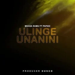 Msaga Sumu - Ulinge Unanini (feat. Papasi)