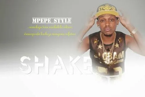 Msami - Shake