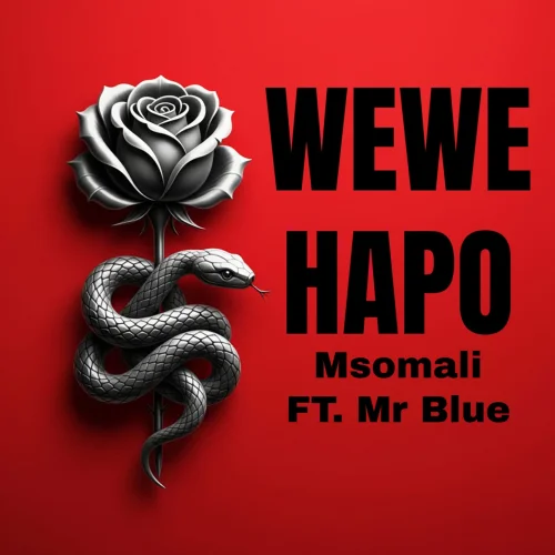 Msomali - Wewe Hapo (feat. Mr Blue)