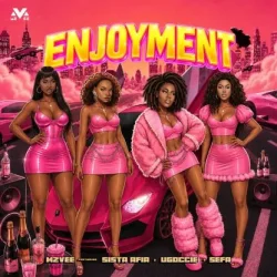 MzVee - Enjoyment (feat. Sista Afia, Ugoccie & Sefa)