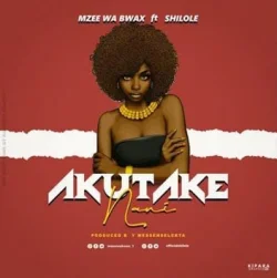 Mzee Wa Bwax - Akutake Nani (feat. Shilole)