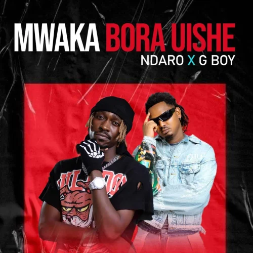 NDARO - Mwaka Bora Uishe (feat. G Boy)