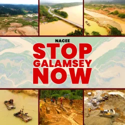 Nacee - Stop Galamsey Now