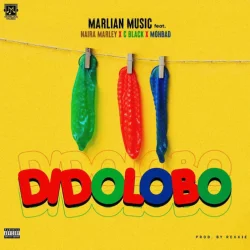 Naira Marley - Didolobo (feat. C Black & Mohbad)
