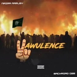 Naira Marley - Vawulence