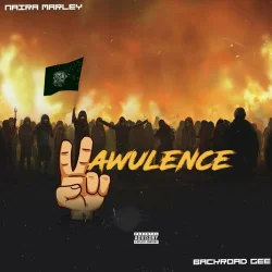 Naira Marley - Vawulence (feat. Backroad Gee)