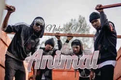 Nako2Nako - Animal