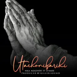 Nala Mzalendo - Utachonibariki (feat. D Nasse)