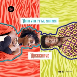 NanaYaa - Misbehave (feat. Lil Shaker)