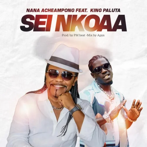 Nana Acheampong - Sei Nkoaa (feat. King Paluta)