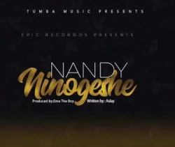 Nandy - Ninogeshe