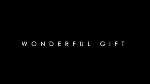 Naomi Raine - Wonderful Gift