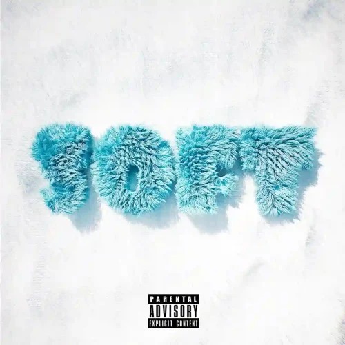 Nasty C - Soft