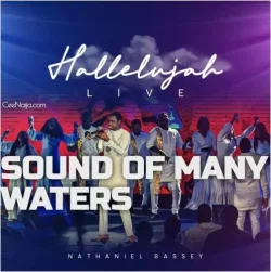 Nathaniel Bassey - Sound Of Many Waters