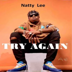 Natty Lee - Lee-Try-Again (feat. Natty)