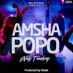 Nay Wa Mitego - Amsha Popo