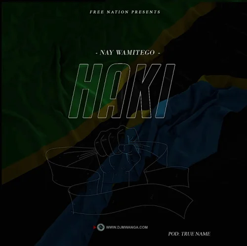 Nay Wa Mitego - Haki
