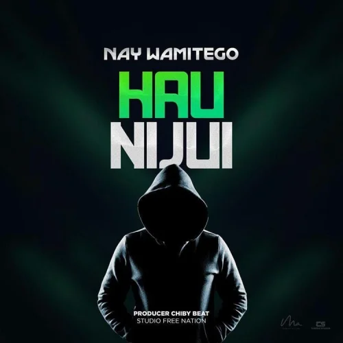 Nay Wa Mitego - Haunijui