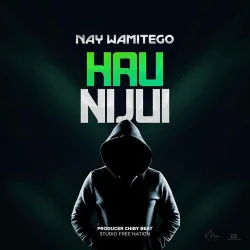 Nay Wa Mitego - Haunijui