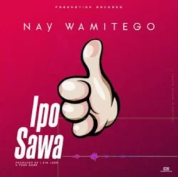 Nay Wa Mitego - Ipo Sawa