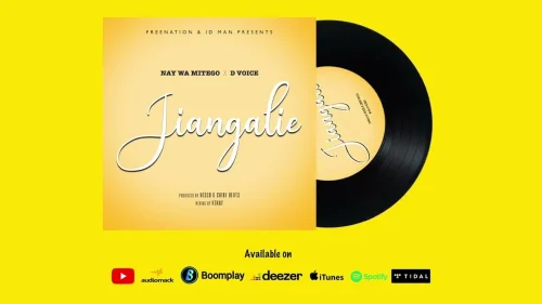 Nay Wa Mitego - Jiangalie (feat. D Voice)