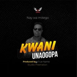 Nay Wa Mitego - Kwani Unaogopa
