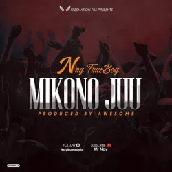Nay Wa Mitego - Mikono Juu