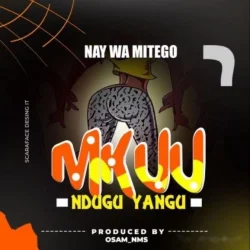Nay Wa Mitego - Mkuu Ndugu Yangu