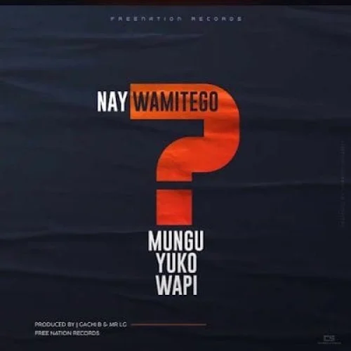 Nay Wa Mitego - Mungu Yuko Wapi (feat. Shamy)