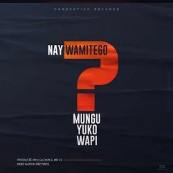 Nay Wa Mitego - Mungu Yuko Wapi (feat. Shamy)