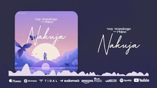 Nay Wa Mitego - Nakuja (feat. Phina - Nakuja)