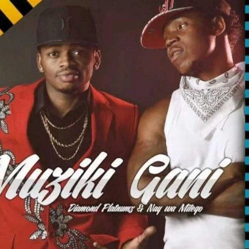 Nay Wa Mitego - Nay Wa Mitego (feat. Diamond Platnumz - Muziki Gani)