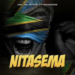 Nay Wa Mitego - Nitasema (feat. Raydiance)