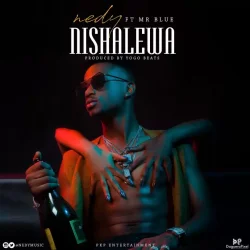 Nedy Music - Nishalewa (feat. Mr Blue)