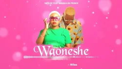 Ney Lee - Waoneshe (feat. Baraka The Prince)