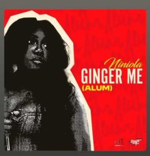 Niniola - Ginger Me (Alum)