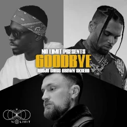 No Limit - Goodbye (feat. Dadju, Chris Brown & Skread)