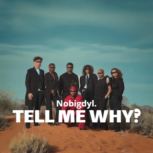 Nobigdyl. - Tell Me Why?
