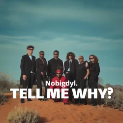 Nobigdyl. - Tell Me Why?