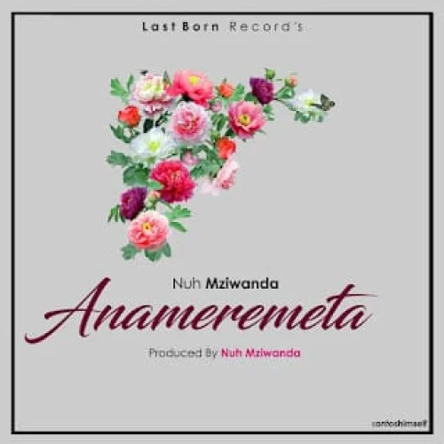 Nuh Mziwanda - Anameremeta