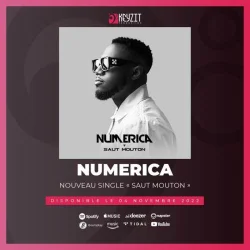 Numerica - Saut Mouton