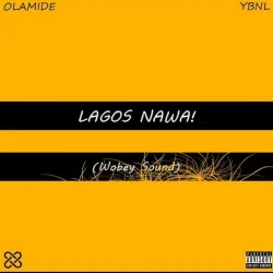 Olamide - Fine Fine Girls (feat. Tiwa Savage)