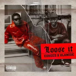 Olamide - Loose It