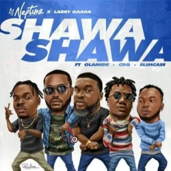 Olamide - Shawa Shawa (feat. CDQ & Slimcase)