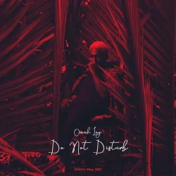 Omah Lay - Do Not Disturb