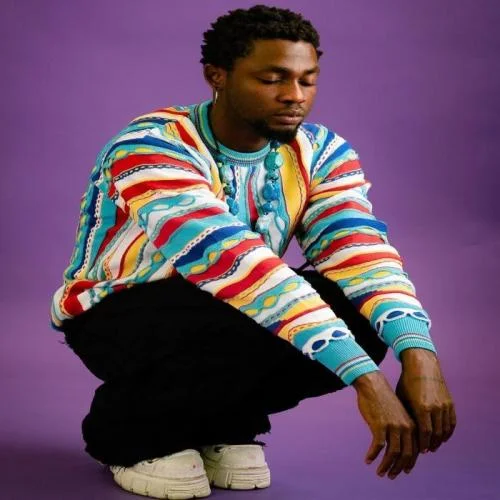 Omah Lay - Safe Haven