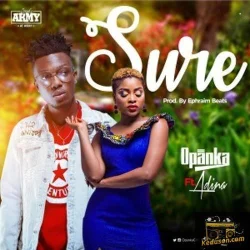 Opanka - Sure
