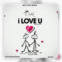Paa Kwasi - I Love U