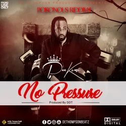 Paa Kwasi - No Pressure